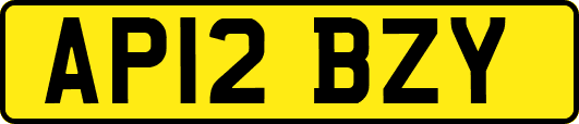 AP12BZY
