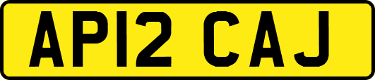 AP12CAJ