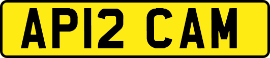 AP12CAM