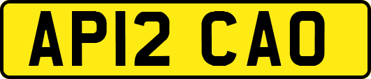 AP12CAO
