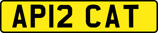 AP12CAT