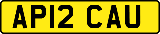AP12CAU