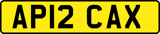 AP12CAX