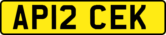 AP12CEK