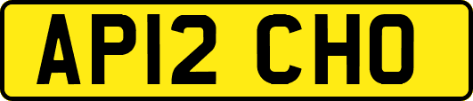 AP12CHO