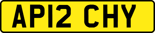 AP12CHY