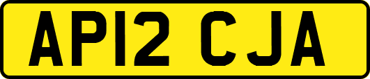 AP12CJA