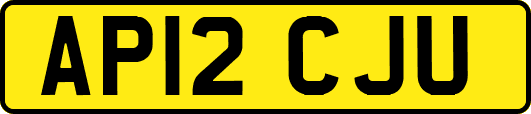 AP12CJU