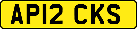 AP12CKS