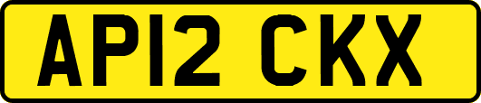 AP12CKX
