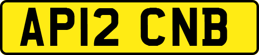 AP12CNB