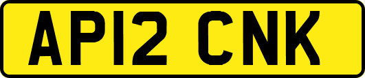 AP12CNK