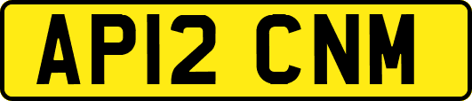 AP12CNM