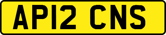 AP12CNS