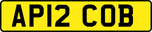 AP12COB
