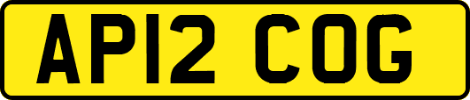 AP12COG