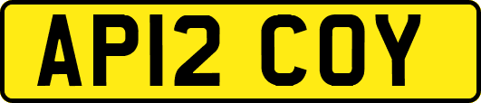 AP12COY