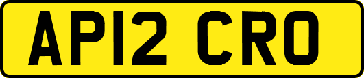 AP12CRO