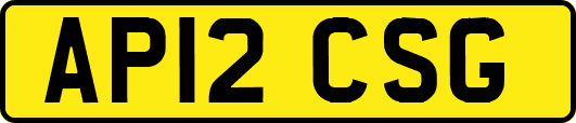 AP12CSG