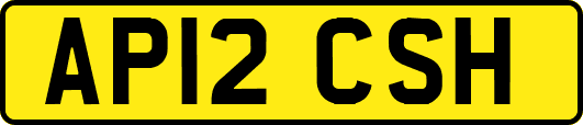 AP12CSH