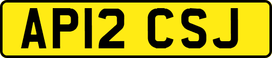 AP12CSJ