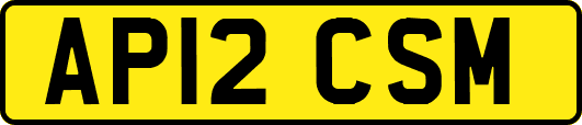 AP12CSM