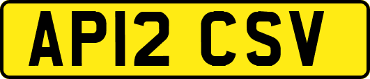 AP12CSV