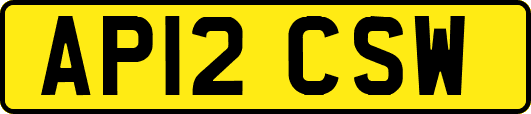 AP12CSW