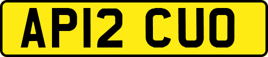 AP12CUO