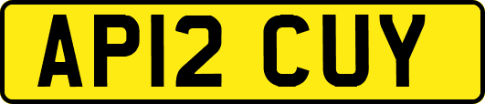 AP12CUY