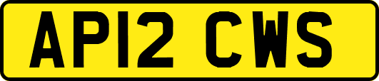 AP12CWS