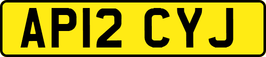 AP12CYJ