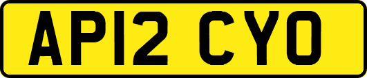 AP12CYO