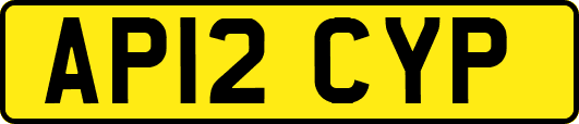AP12CYP