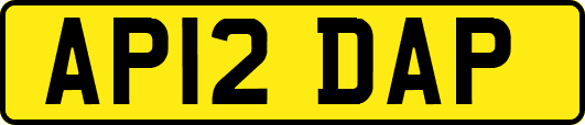 AP12DAP