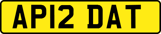 AP12DAT