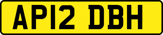 AP12DBH
