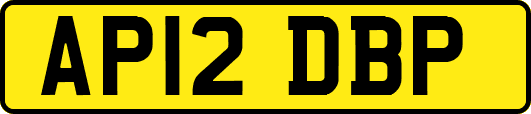 AP12DBP