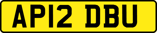 AP12DBU