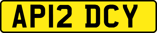 AP12DCY