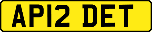 AP12DET