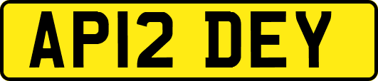 AP12DEY