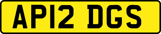 AP12DGS