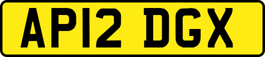 AP12DGX