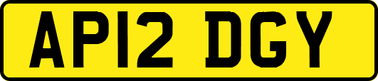 AP12DGY