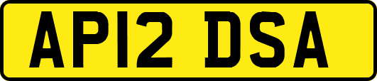 AP12DSA