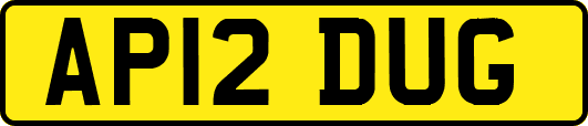 AP12DUG