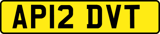 AP12DVT