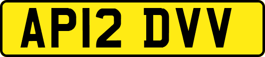 AP12DVV