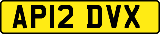 AP12DVX